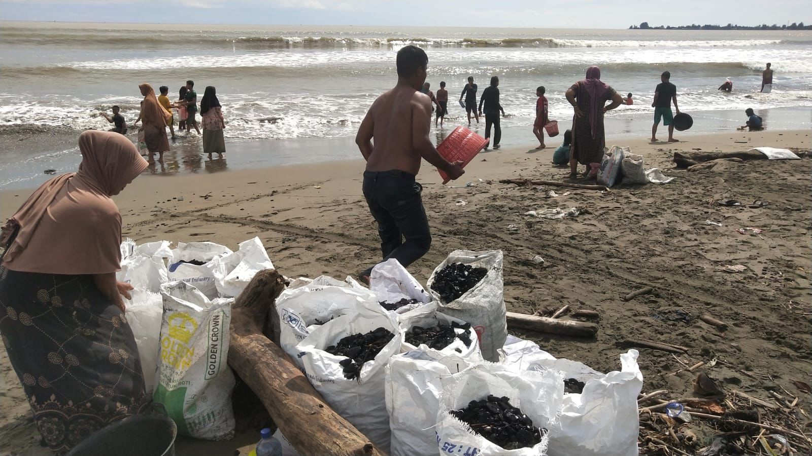 Yayasan Apel Green Aceh Minta DPRA Tindak Lanjut Tumpahan Batu Bara di Aceh Barat