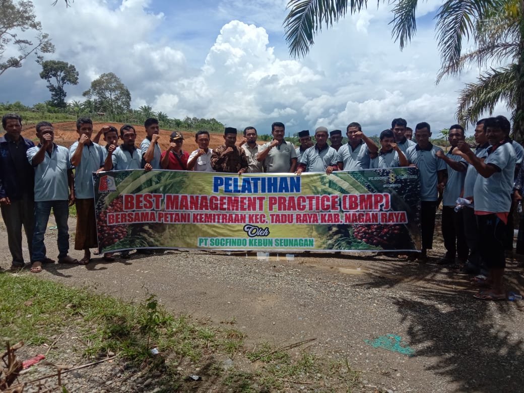 Melalui Kemitraan, PT Socfindo Seunagan Latih Masyarakat Tani Cara Merawat Kebun Sawit